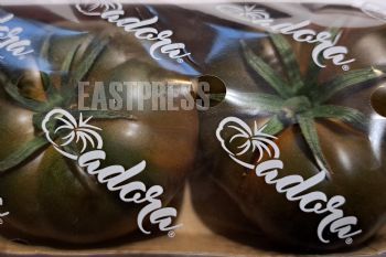 EA347073, Eastpress, studio, Finland